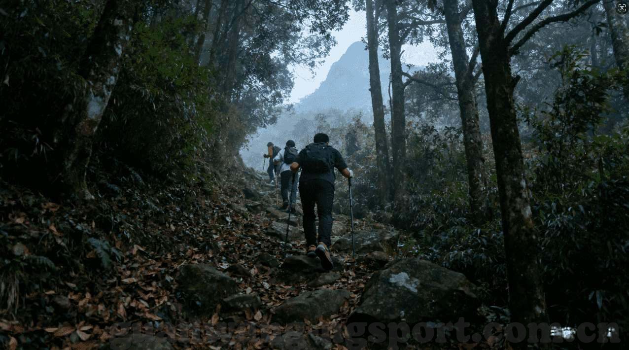 澳客彩票电脑版下载-探索数字化乐趣，澳客彩票电脑版下载指南